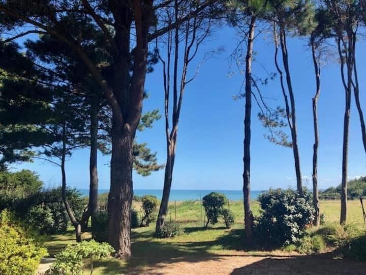 Villa Vue Mer Avec Acces Direct A La Plage 바랑즈빌-쉬르-메르 외부 사진